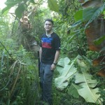 In the Jungle Hills